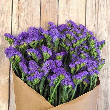 Most Beautiful Flowers in the World